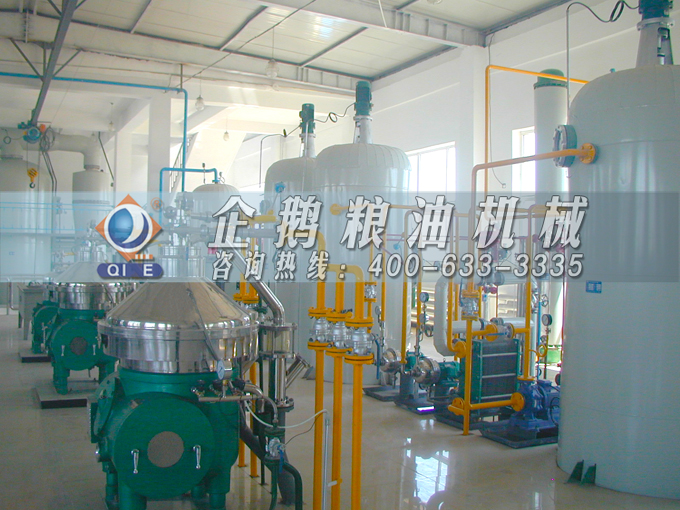 如何投資建設(shè)棕櫚油加工廠？企鵝糧油機(jī)械在線為您答疑解惑(圖2)