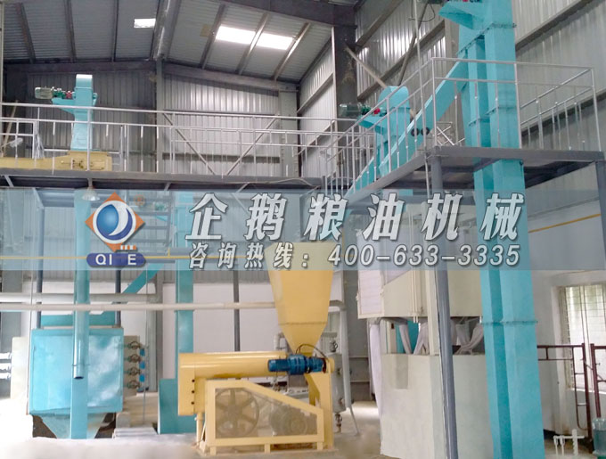 如何投資建設(shè)棕櫚油加工廠？企鵝糧油機(jī)械在線為您答疑解惑(圖4)