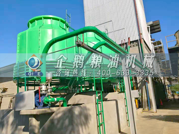 如何投資建設(shè)棕櫚油加工廠？企鵝糧油機(jī)械在線為您答疑解惑(圖3)